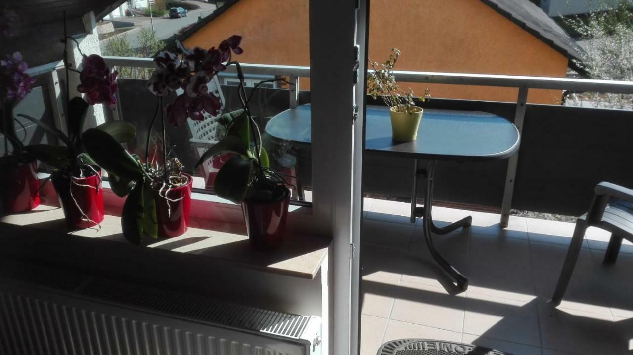 Obere Ferienwohnung Asshoff Zwischen Odenwald, Taubertal Und Bauland Berolzheim Екстериор снимка